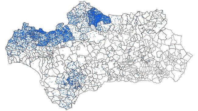 Porcinos extensivos de Andalucía (2016)
