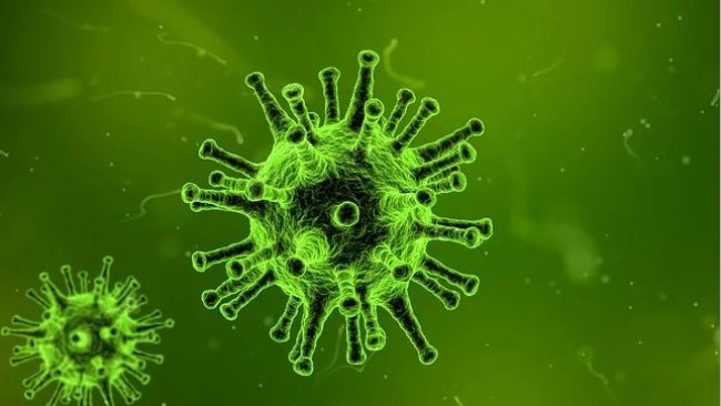 coronavirus