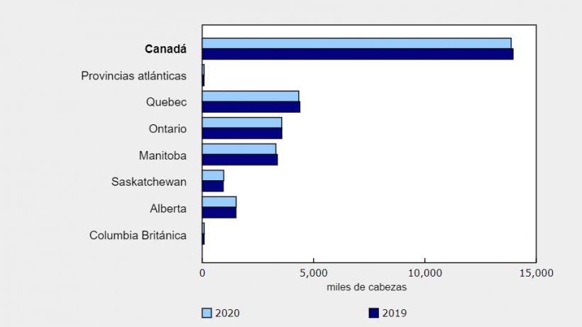 Inventarios totales de cerdos, 1 de enero de 2019 y 2020
