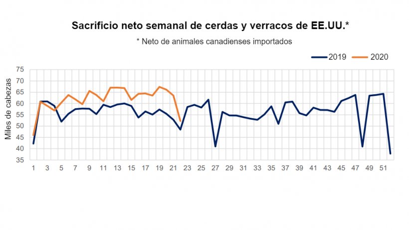 Fuente: datos del Servicio de Comercializaci&oacute;n Agr&iacute;cola,&nbsp;transformaciones del Servicio de Investigaci&oacute;n Econ&oacute;mica del USDA, USDA.
