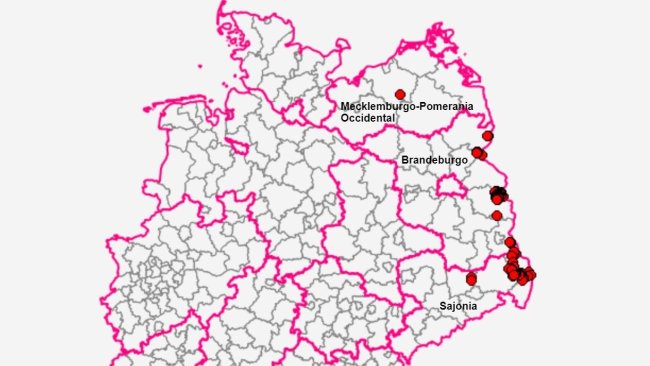 Estados de Alemania con casos de peste porcina africana. Fuente: FLI.