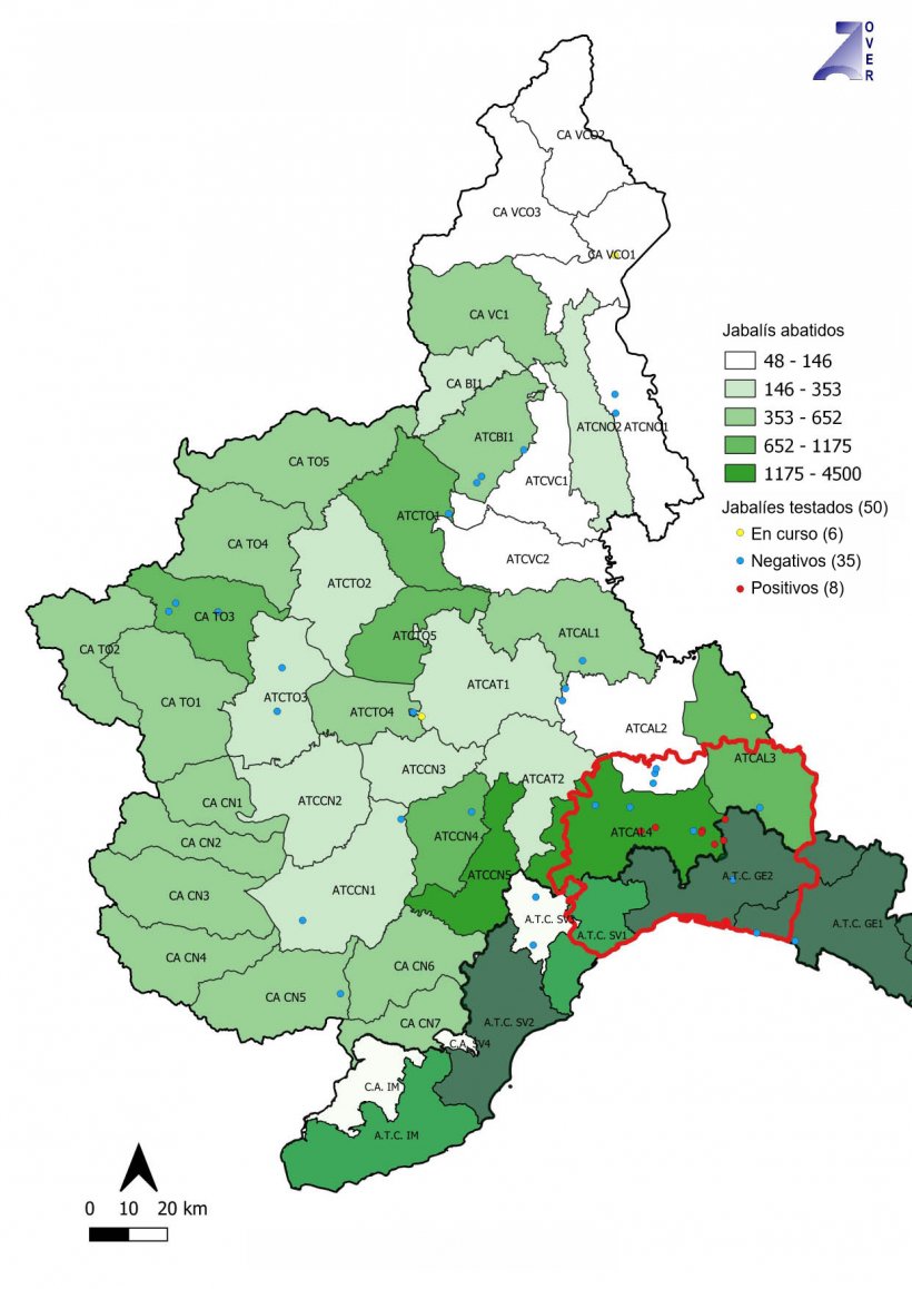 Animales testados, negativos y positivos para PPA en Piemonte y Liguria (Italia). Fuente: IZSPLV