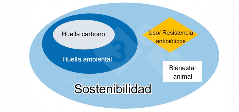 Figura 1. Principales conceptos de sostenibilidad.
