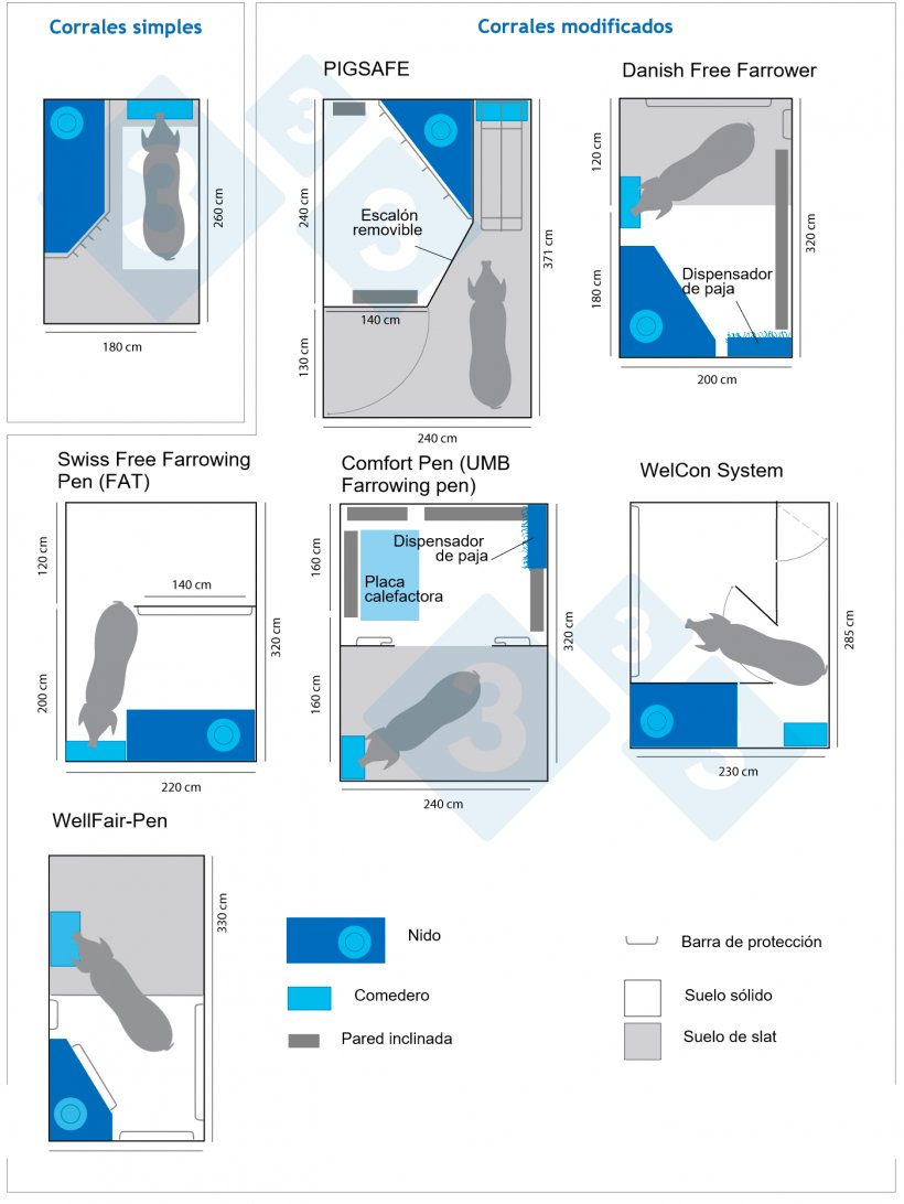 Figura 2. Distintos modelos de maternidades sin confinamiento. Infograf&iacute;a elaborada por 333 a partir de datos de www.freefarrowing.org
