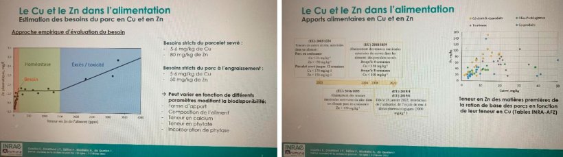 Estimación del flujo de absorción de zinc y cobre 