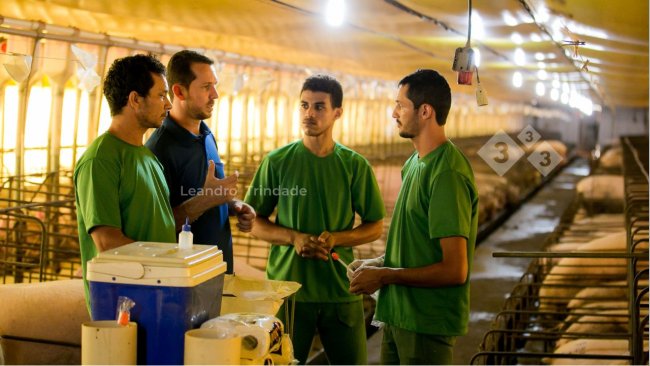 A menudo, los comportamientos de los equipos ocasionan fallas de gestión que pueden ser eliminadas con intervenciones técnicas, pero su causa principal requiere una solución adaptativa