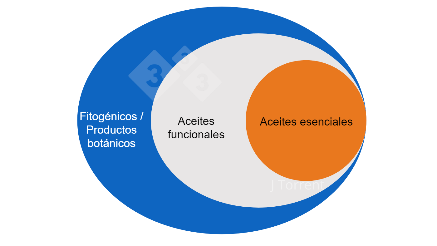 Reconocer un Aceite Esencial de Calidad