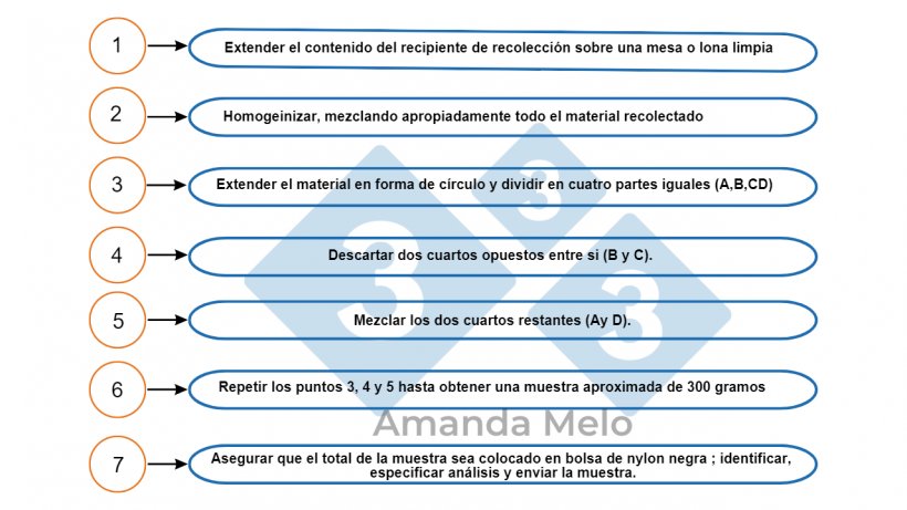 Figura 4: Paso a paso de como cuartear una muestra.&nbsp;
