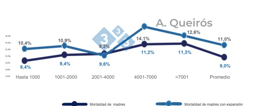 Figura 5: Mortalidad de cerdas en granjas estabilizadas o en expansi&oacute;n. Base de datos de 240 000 cerdas de 133 granjas brasile&ntilde;as. Queir&oacute;s, 2022: Presentaci&oacute;n oral de Sinsui.
