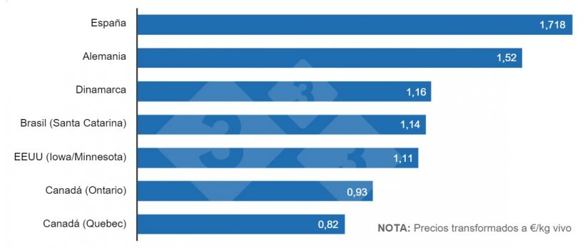 Figura 1. Comparativa precios actuales en los principales países exportadores de cerdo