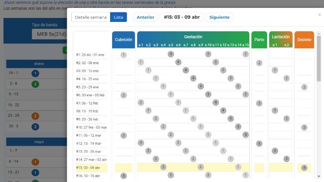 Ejemplo de simulación de manejo de bandas a cinco semanas.