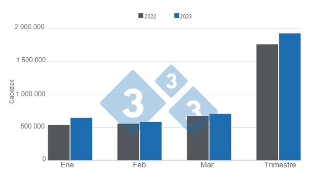 Gráfico 1. Faena de porcinos en el primer trimestre de 2023 versus 2022. Elaborado por el Departamento de Economía e Inteligencia de Mercados con datos de la Secretaría de Agricultura, Ganadería y Pesca del Ministerio de Economía de Argentina. 
