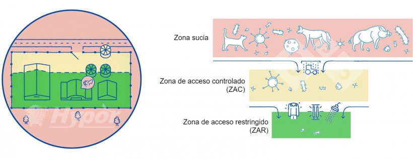 Diferentes zonas sanitarias en una granja
