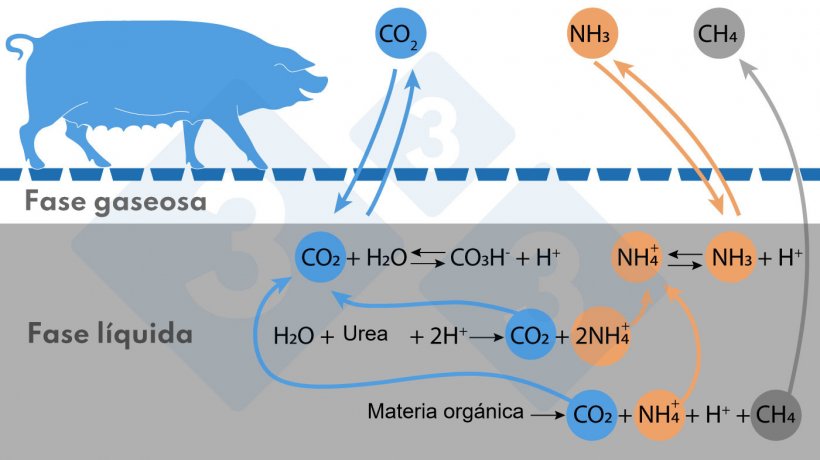 Figura. Esquema simplificado de las reacciones que afectan a las emisiones de NH3 y CH4
