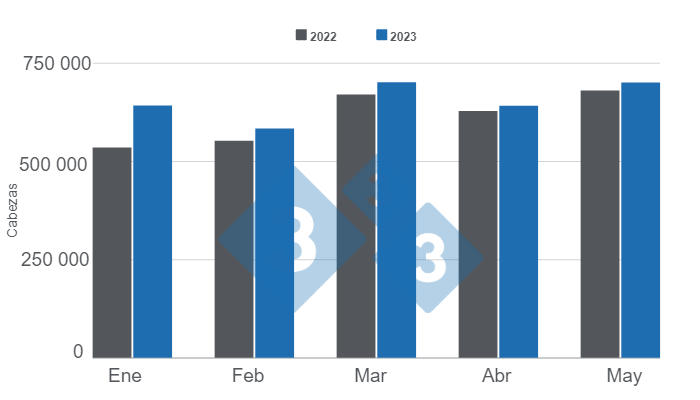 Gr&aacute;fico 1. Faena mensual de porcinos en los primeros cinco meses del a&ntilde;o.&nbsp;Elaborado por el Departamento de Econom&iacute;a e Inteligencia de Mercados con datos de la Secretar&iacute;a de Agricultura, Ganader&iacute;a y Pesca del Ministerio de Econom&iacute;a de Argentina.&nbsp;
