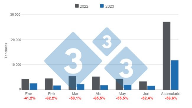 Gráfico 1: Evolución de las importaciones mensuales de carne de cerdo en 2023. Elaborado por el Departamento de Economía e Inteligencia de Mercados de 333 Latinoamérica con datos de la Secretaría de Agricultura, Ganadería y Pesca del Ministerio de Economía de Argentina 