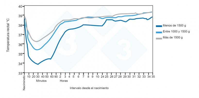 Tendencias de la temperatura rectal desde el nacimiento hasta las 35 horas de vida en relaci&oacute;n con el grupo de peso al nacer. Fuente: Pattison, English, MacPherson y Birnie 1989.
