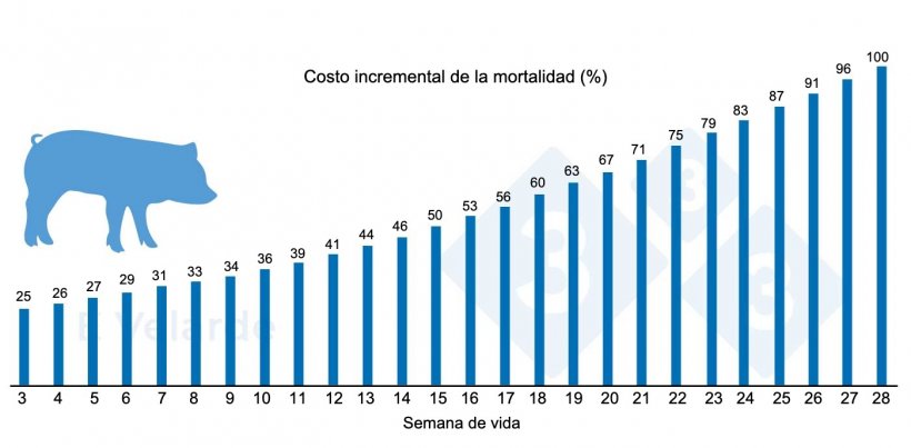 Figura 1. Costo incremental de la mortalidad seg&uacute;n su semana de vida. Fuente: Velarde (2023).
