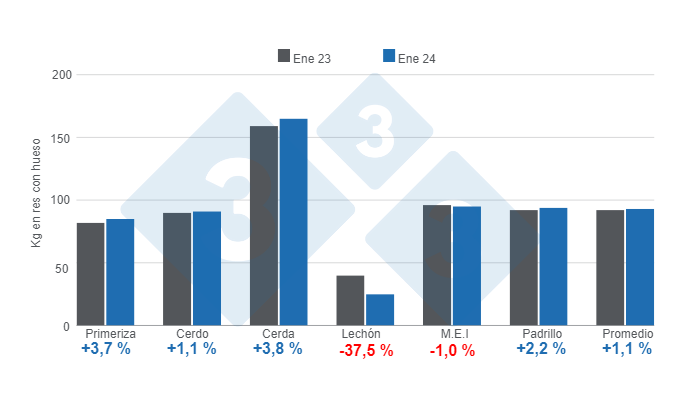 Gr&aacute;fico 1: Peso promedio de la res porcina por categor&iacute;as y promedio general &ndash; enero 2024, variaci&oacute;n anual.&nbsp;&nbsp;Elaborado por el Departamento de Econom&iacute;a e Inteligencia de Mercados de 333 Latinoam&eacute;rica con datos de la Secretar&iacute;a de Agricultura, Ganader&iacute;a y Pesca&nbsp;del Ministerio de Econom&iacute;a de Argentina.&nbsp;
