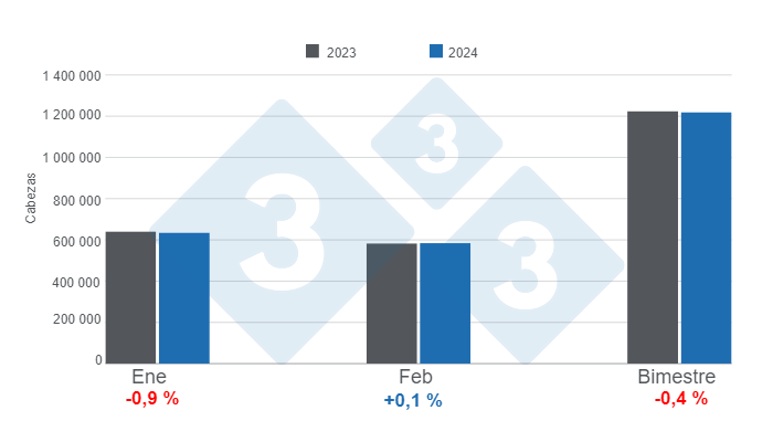 Gr&aacute;fico 1. Faena mensual de porcinos en el primer bimestre de 2024, variaciones anuales.&nbsp;Elaborado por el Departamento de Econom&iacute;a e Inteligencia de Mercados de 333 Latinoam&eacute;rica con datos de la Secretar&iacute;a de Agricultura, Ganader&iacute;a y Pesca&nbsp;del Ministerio de Econom&iacute;a de Argentina.
