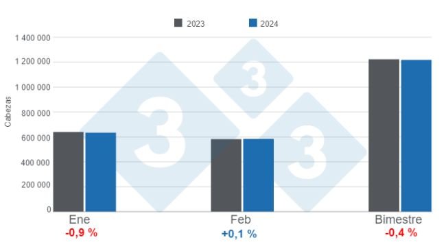 Gráfico 1. Faena mensual de porcinos en el primer bimestre de 2024, variaciones anuales. Elaborado por el Departamento de Economía e Inteligencia de Mercados de 333 Latinoamérica con datos de la Secretaría de Agricultura, Ganadería y Pesca del Ministerio de Economía de Argentina.