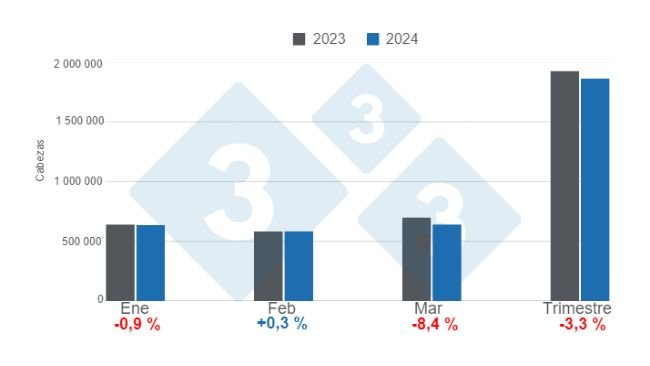 Gráfico 1. Faena mensual de porcinos en el primer trimestre de 2024, variaciones anuales. Elaborado por el Departamento de Economía e Inteligencia de Mercados de 333 Latinoamérica con datos de la Secretaría de Agricultura, Ganadería y Pesca del Ministerio de Economía de Argentina. 