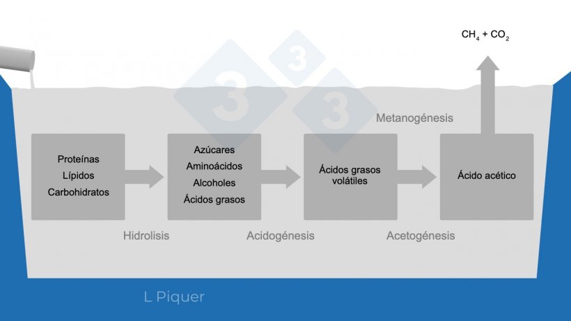 Gr&aacute;fico 1.&nbsp;Ciclo de formaci&oacute;n de metano (CH4) durante el almacenamiento del pur&iacute;n.
