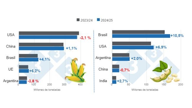 Gráfico 1. Proyección de cosecha para los principales productores mundiales de maíz y soya - campaña 2024/25 versus ciclo 2023/24. Elaborado por el Departamento de Economía e Inteligencia de Mercados con datos de FAS – USDA.
