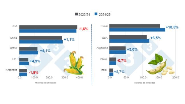 Gráfico 1. Proyección de cosecha para los principales productores mundiales de maíz y soya - campaña 2024/25 versus ciclo 2023/24. Elaborado por el Departamento de Economía e Inteligencia de Mercados con datos de FAS – USDA. 