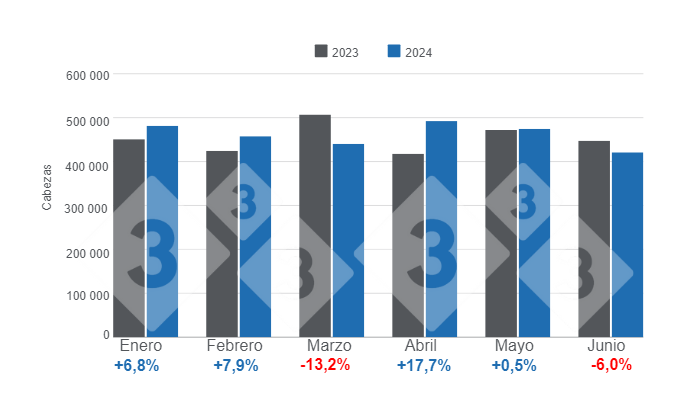 Gr&aacute;fico 1. Beneficio mensual de carne de cerdo en el primer semestre de 2024 &ndash; variaciones anuales.&nbsp;Elaborado por el Departamento de Econom&iacute;a e Inteligencia de Mercados con datos de la Oficina de Estudios y Pol&iacute;ticas Agrarias de Chile (ODEPA).&nbsp;
