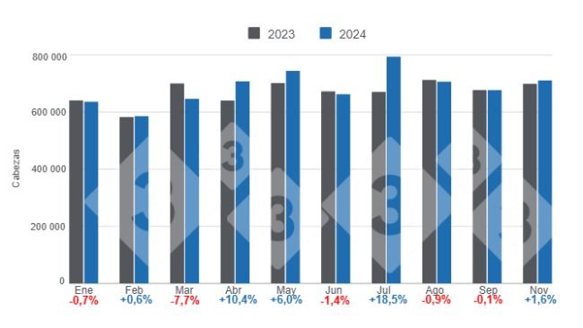 Gráfico 1. Faena mensual de porcinos en el período enero – octubre de 2024, variaciones anuales. Elaborado por el Departamento de Economía e Inteligencia de Mercados de 333 Latinoamérica con datos de la Secretaría de Agricultura, Ganadería y Pesca del Ministerio de Economía de Argentina. 