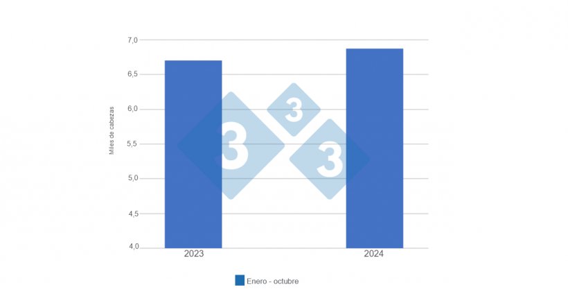 Gr&aacute;fico 1. Evoluci&oacute;n faena (en miles de cabezas) enero-octubre 2023-2024. Control Comercial Agropecuario. SAGYP.&nbsp;
