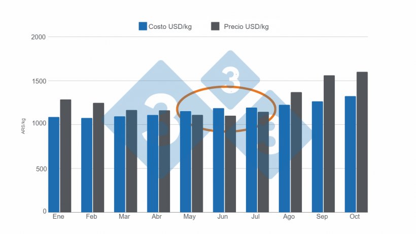 Grafico 4. Relaci&oacute;n costo promedio mensual y precio m&aacute;ximo de venta promedio mensual del cap&oacute;n. Bolet&iacute;n semanal (333&nbsp;Argentina).&nbsp;
