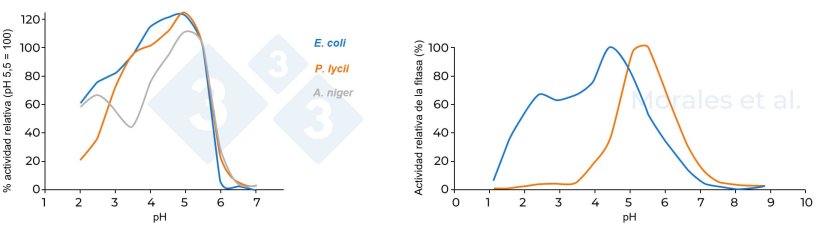 Figura 3. Actividad relativa de diferentes fitasas. La figura de la izquierda compara tres fitasas (A. niger, E. coli y P. lycii), tomando como referencia una actividad del 100% a pH 5,5 (Kumar et al., 2003). La figura de la derecha compara dos fitasas (fitasa microbiana E. coli y fitasa f&uacute;ngica P. lycii); la actividad m&aacute;xima de fitasa registrada se consider&oacute; como 100% (Morales et al. 2011).
