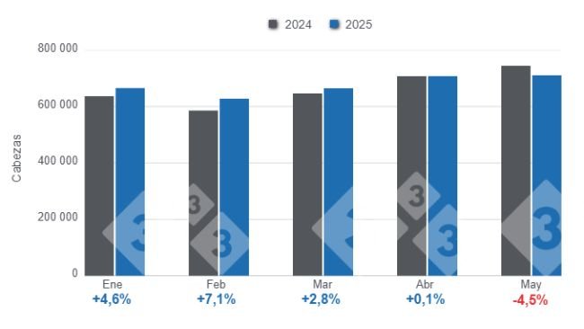 Gráfico 1: Faena mensual de porcinos enero - mayo de 2025, variaciones anuales.
Elaborado por el Departamento de Economía y Sostenibilidad de 333 Latinoamérica con datos de la Secretaría de Agricultura, Ganadería y Pesca del Ministerio de Economía de Argentina