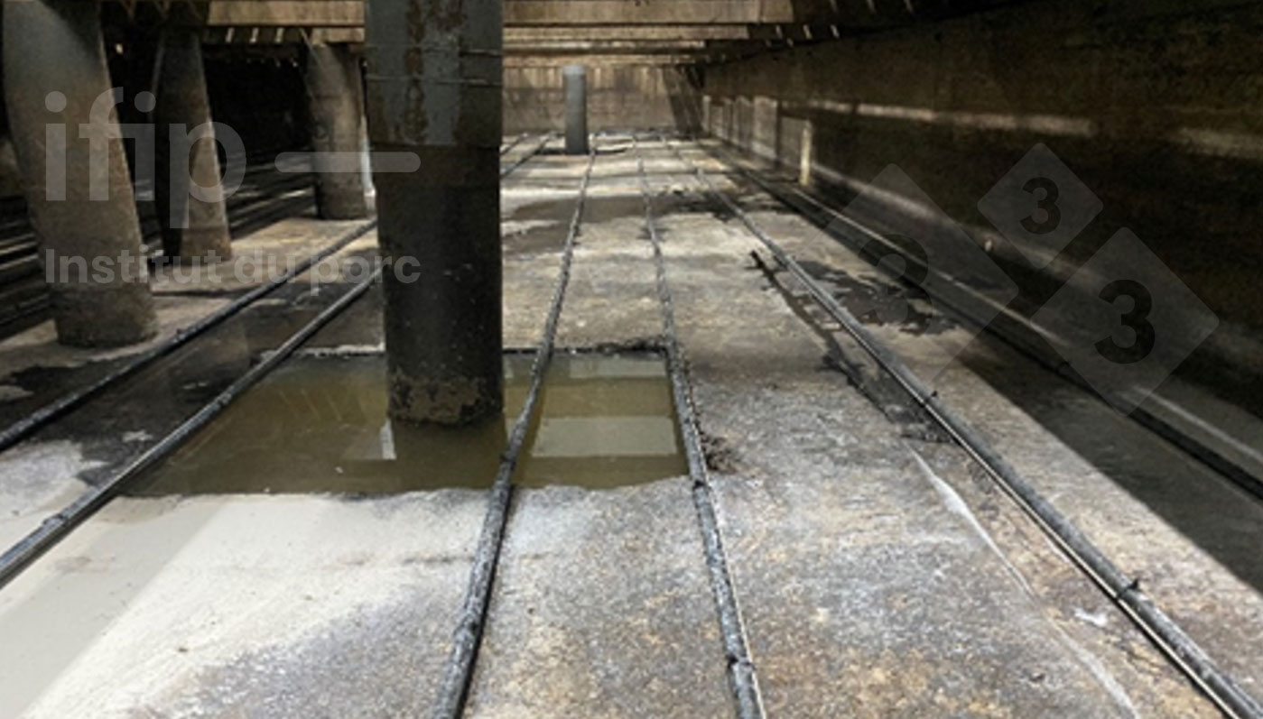 Lisiotermia en fondo de fosa en condiciones experimentales. Fuente: IFIP.
