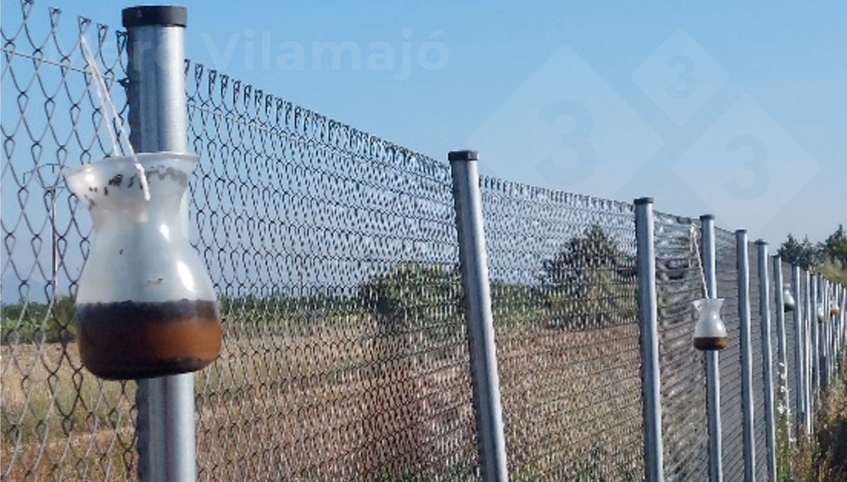 Foto 2: Trampas de captura múltiple para moscas adultas situadas en la valla perimetral.