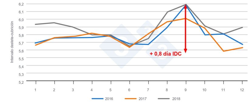 Figura 1. Intervalo destete-cubrición en función del mes del año. Fuente: PigChamp Pro Europa