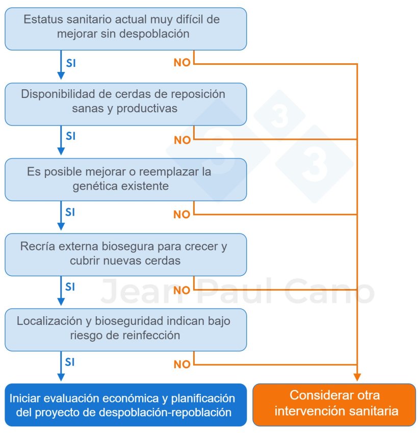 Figura 1. Árbol de decisión para evaluar la viabilidad de realizar una despoblación-repoblación. ¿Es la despoblación-repoblación de interés para mi granja?