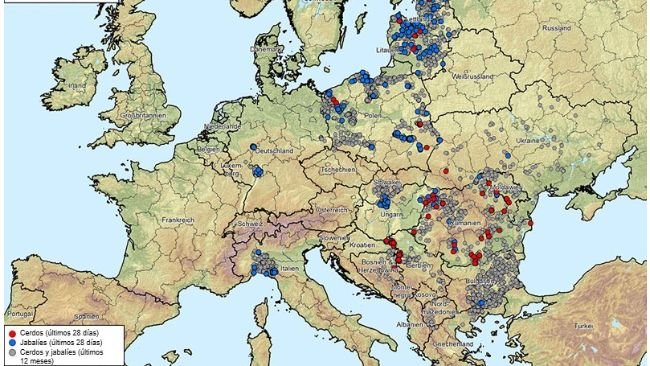 Figura 1. Brotes de peste porcina africana (genotipo II) en Albania, Países Bálticos, Bosnia-Herzegovina, Bulgaria, Alemania, Grecia, Italia, Kosovo, Croacia, Moldavia, Montenegro, Macedonia del Norte, Polonia, Rumania, Suecia, Serbia, Eslovaquia, República Checa, Ucrania y Hungría (20/08/2024 al 20/08/2025). Fuente de los datos: ADIS, TSN (a 20/08/2025 - 08:40)