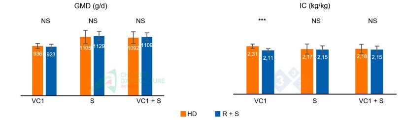 Figura 1: GMD e IC durante la primera ola de calor del lote 1 (VC1), durante la fase de sobrealimentaci&oacute;n (S) que le sigui&oacute;, y el acumulado de ambas fases (VC1 + S).

