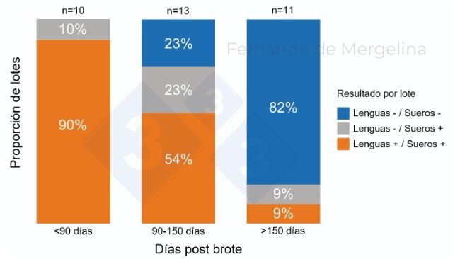 Figura 1. Proporción de lotes con resultados de la detección de PRRSV en lenguas de NM y en sueros al destete por fase post brote (días).
