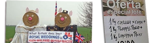 Red tractor
