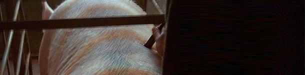 &iquest;Cu&aacute;ndo realizamos la toma de datos con el Renco?