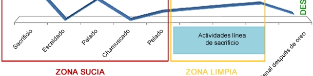  Evoluci&oacute;n de la prevalencia en canales durante el faenado de las mismas.