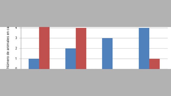 Distribución de la severidad de las lesiones en el cartílago (escala de 0 a 3) de animales control o con una dieta con Cu/Mn unidos a aminoácidos.