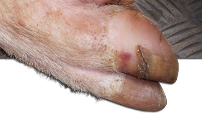 Grietas en la pared lateral