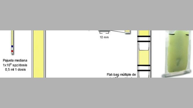 Representación esquemática de las principales diferencias entre las mini-pajuelas plásticas de 0,25 ml, con Flat-bags simples (5 ml) y múltiples (de 0,5-0,7 ml)