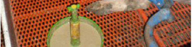 Papillas
