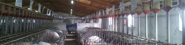 D&iacute;as no productivos (2/2): 16.000 &euro; escondidos en la gestaci&oacute;n